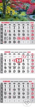 Klasik 3-mesačný sivý nástenný kalendár 2021 - park - 