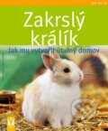 Zakrslý králík - Gabriele Linke-Grün