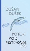 Potok pod potokom - Dušan Dušek