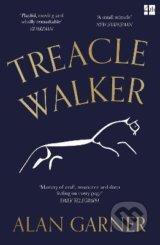 Treacle Walker - Alan Garner