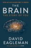 Brain - David Eagleman