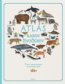 Atlas radov živočíchov - Jules Howard, Fay Evans, Kelsey Oseid (ilustrácie)