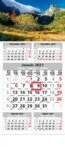 Štandard 5-mesačný sivý nástenný kalendár 2021 - hory - 