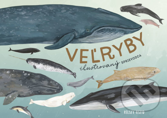 Veľryby: ilustrovaný sprievodca - Kelsey Oseid