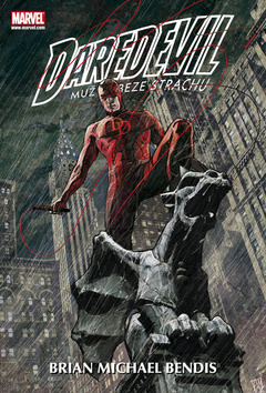 Kniha Daredevil 2 (Muž beze strachu)