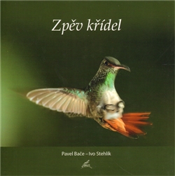 Kniha Zpěv křídel