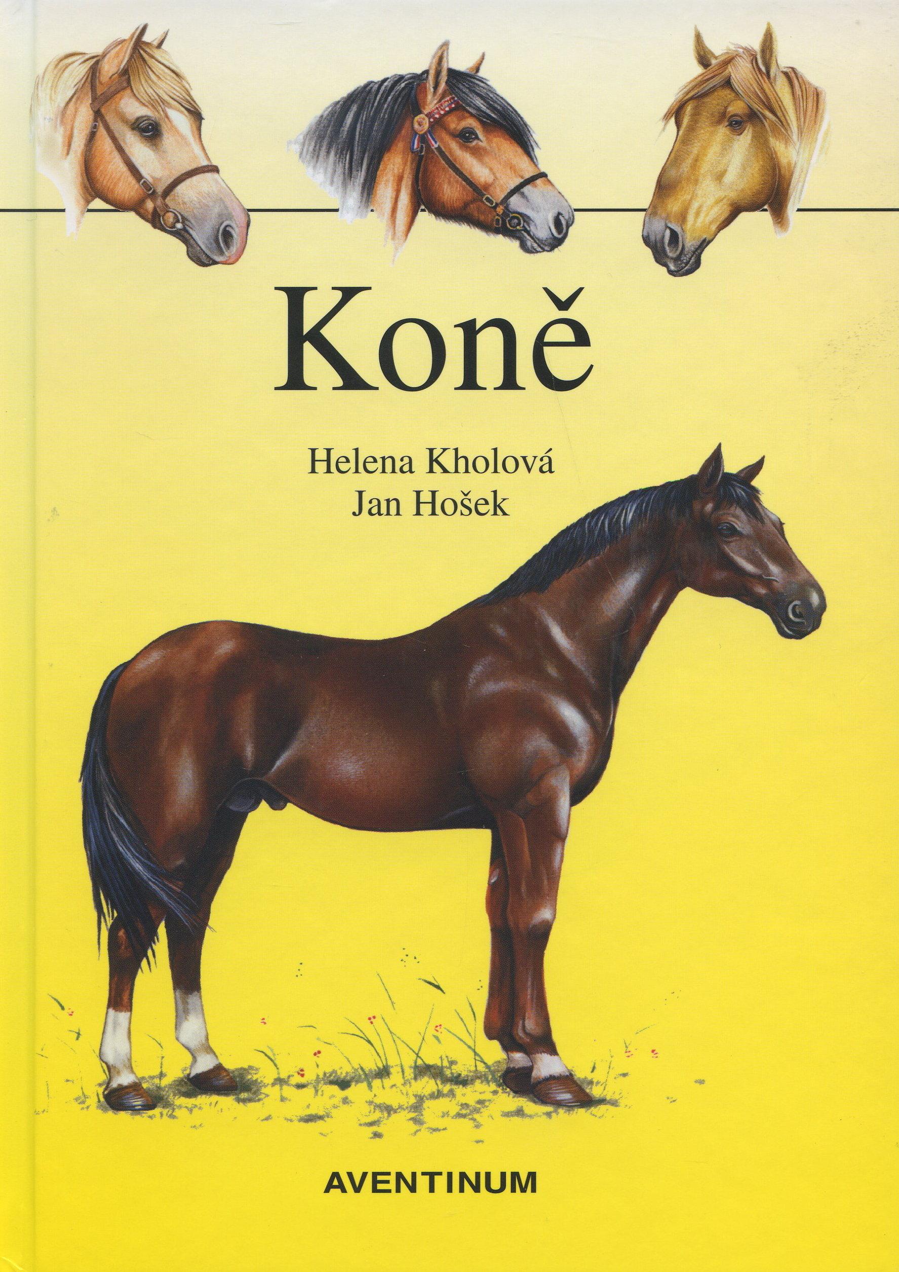 Koně (Čtvrté vydání)
