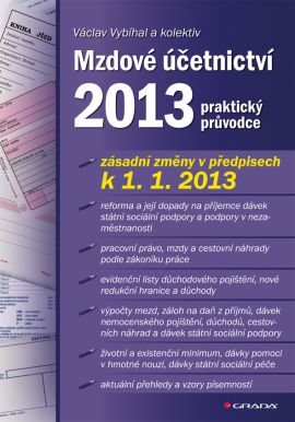 Kniha Mzdové účetnictví 2013 (praktický průvodce)