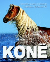 Kniha Koně