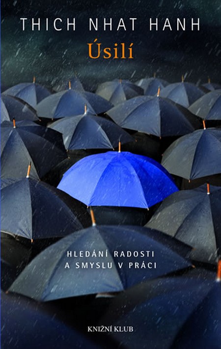 Úsilí (Hledání radosti a smyslu v práci)