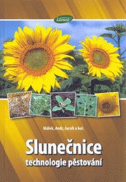 Slunečnice (technologie pěstování)
