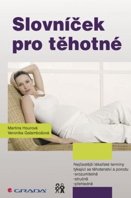 Kniha Slovníček pro těhotné