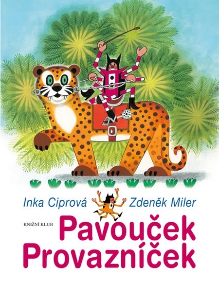 Kniha Pavouček Provazníček