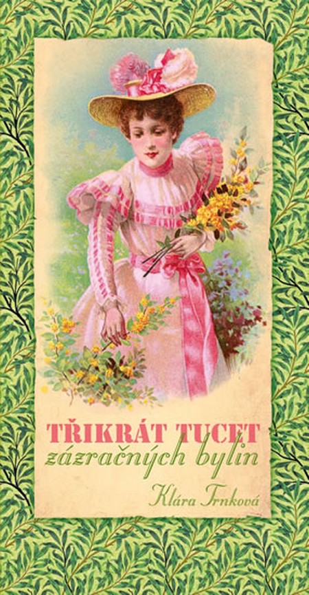 Třikrát tucet zázračných bylin kúpite na Gorila.sk