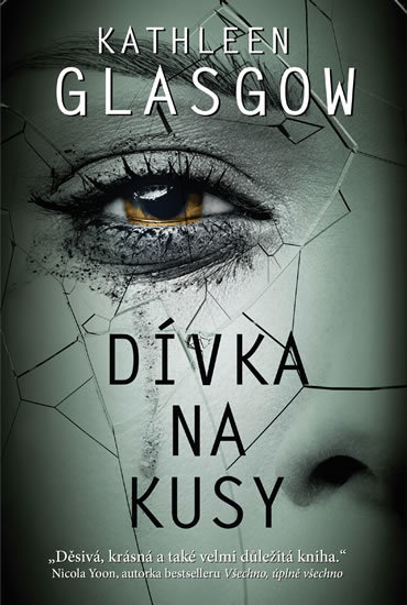Kniha Dívka na kusy