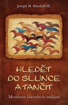 Kniha Hledět do slunce a tančit