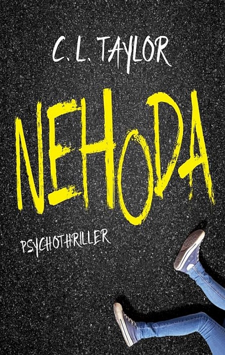 Nehoda - Cathryn L. Taylor kúpite na Gorila.sk