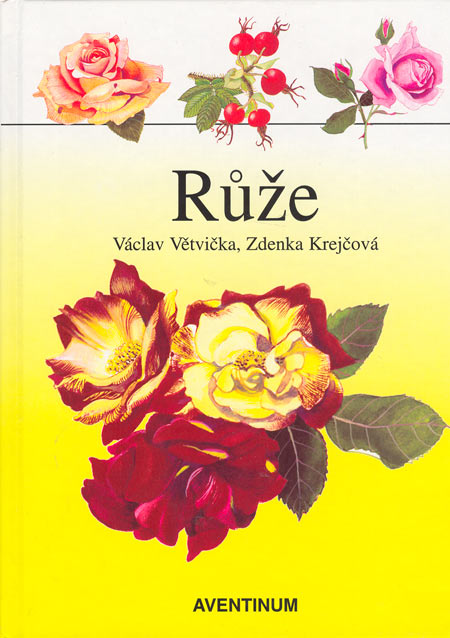 Růže