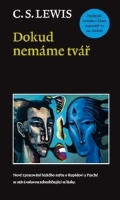 Kniha Dokud nemáme tvář