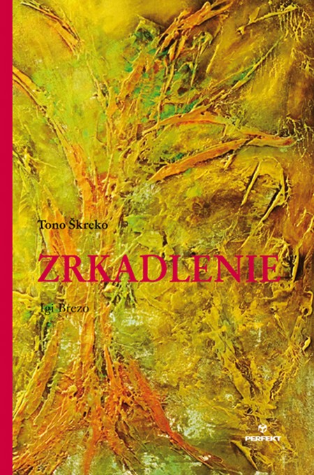 Zrkadlenie kúpite na Gorila.sk