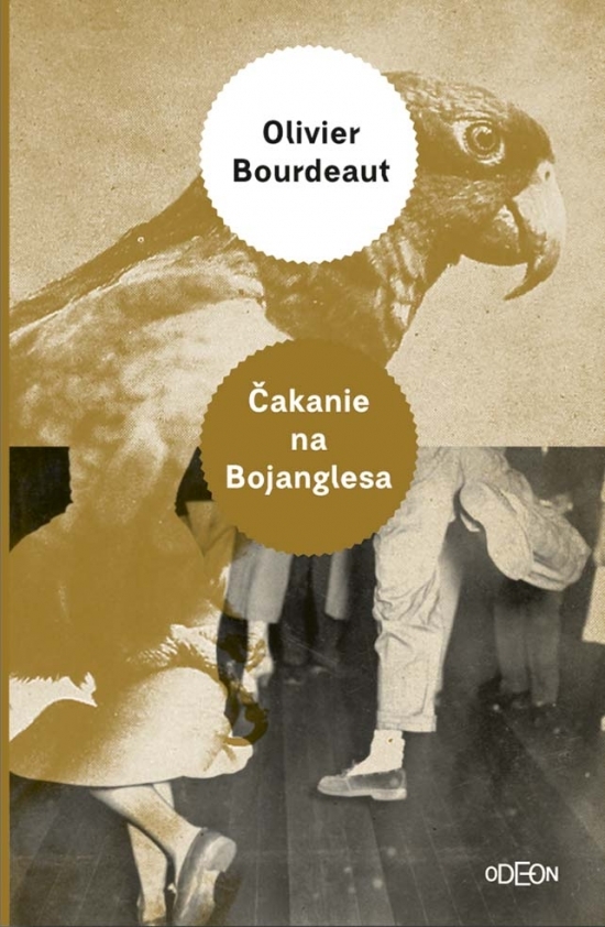 Kniha Čakanie na Bojanglesa