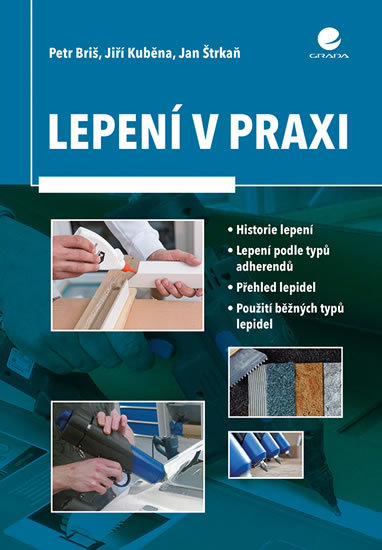 Kniha Lepení v praxi - Jiří Kuběna,Briš Petr