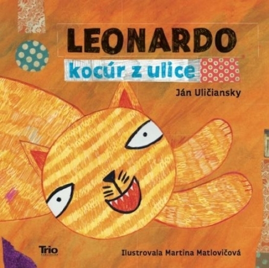 Leonardo, kocúr z ulice kúpite na Gorila.sk