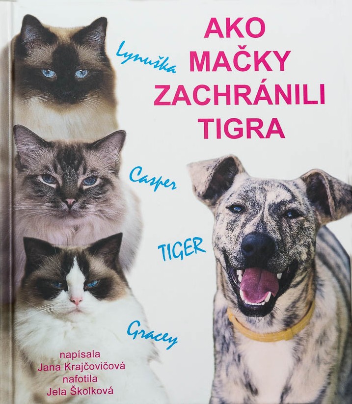 Ako mačky zachránili tigra kúpite na Gorila.sk