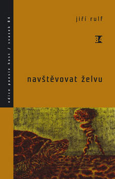 Kniha Navštěvovat želvu