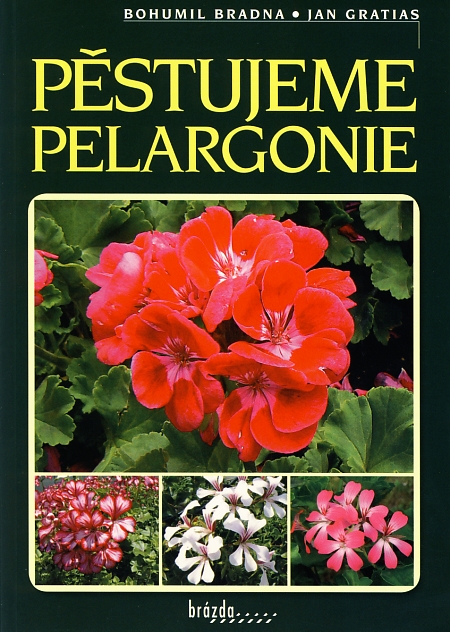 Pěstujeme pelargonie