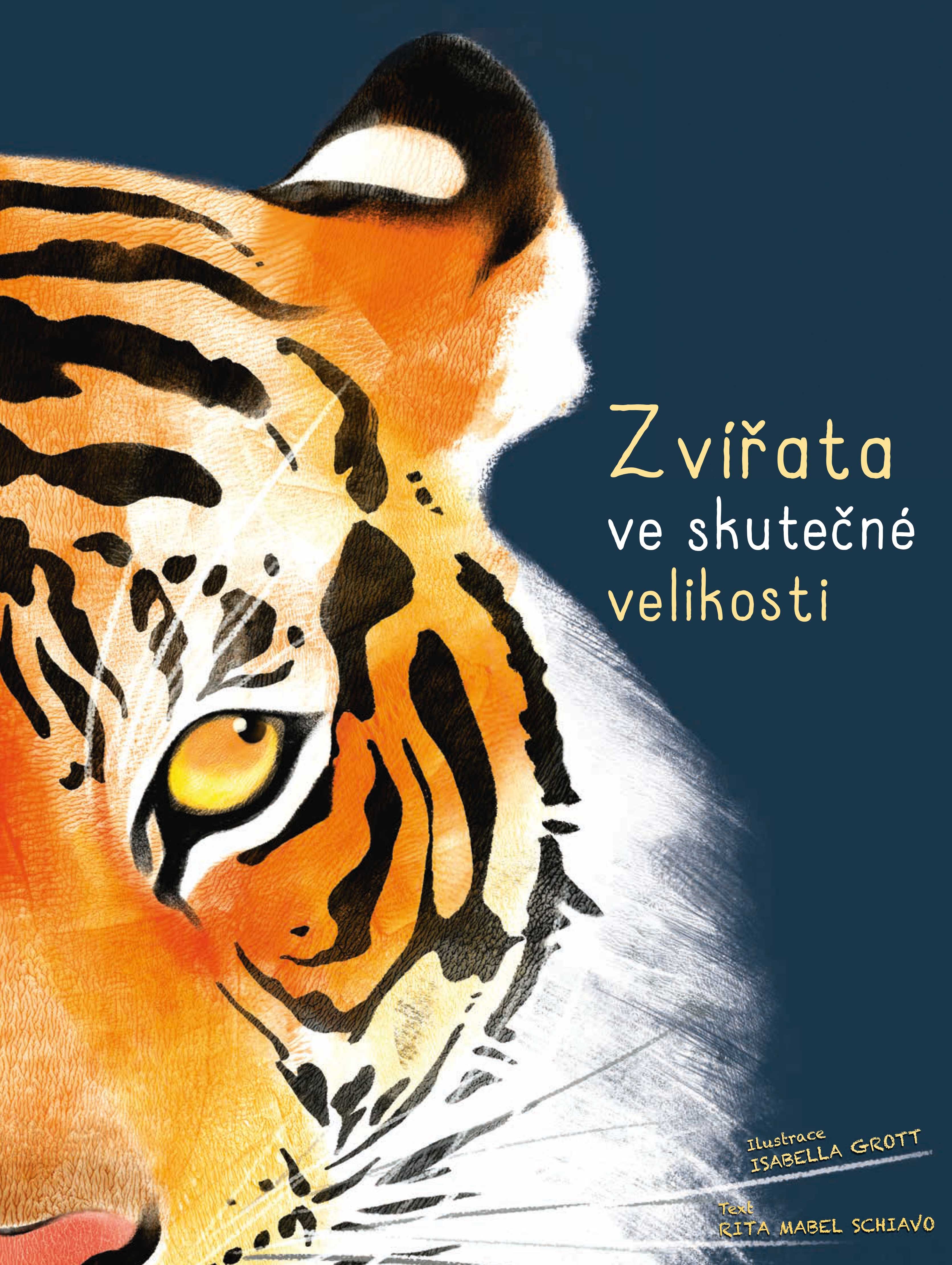 Kniha Zvířata ve skutečné velikosti