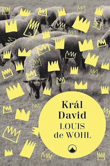 Kniha Král David