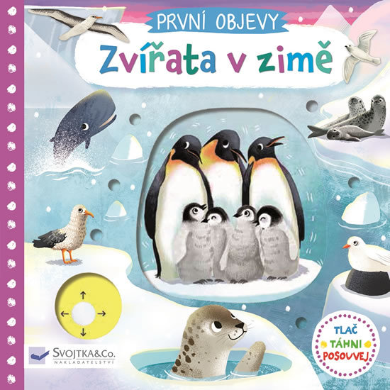 Zvířata v zimě - První objevy kúpite na Gorila.sk