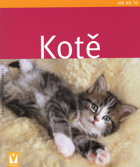 Kniha Kotě