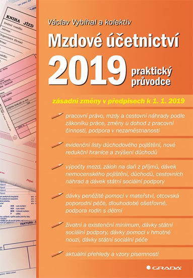 Kniha Mzdové účetnictví 2019 (praktický průvodce)