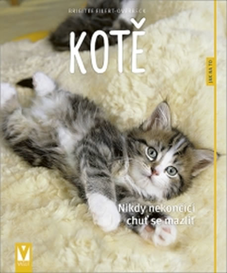 Kniha Kotě