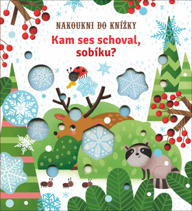 Kniha Kam ses schoval, sobíku?
