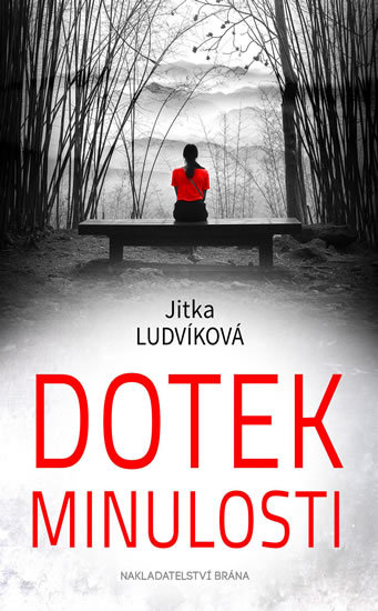 Kniha Dotek minulosti