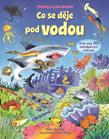 Kniha Co se děje pod vodou (Podívej se pod obrázek)