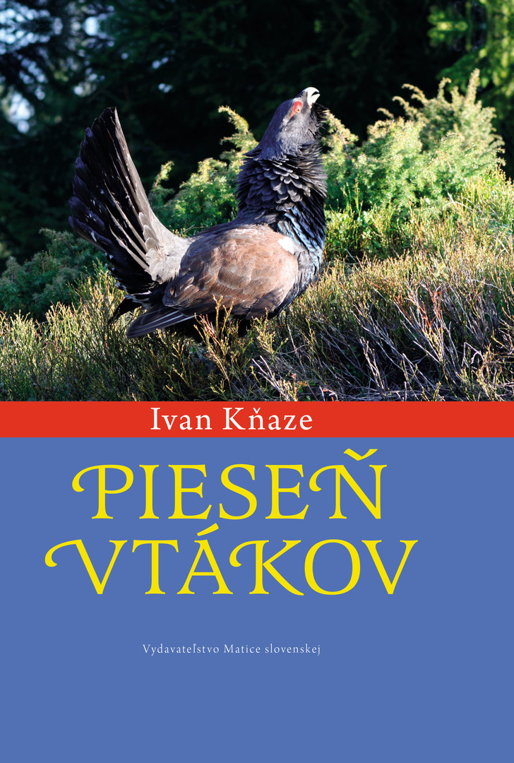 Pieseň vtákov kúpite na Gorila.sk