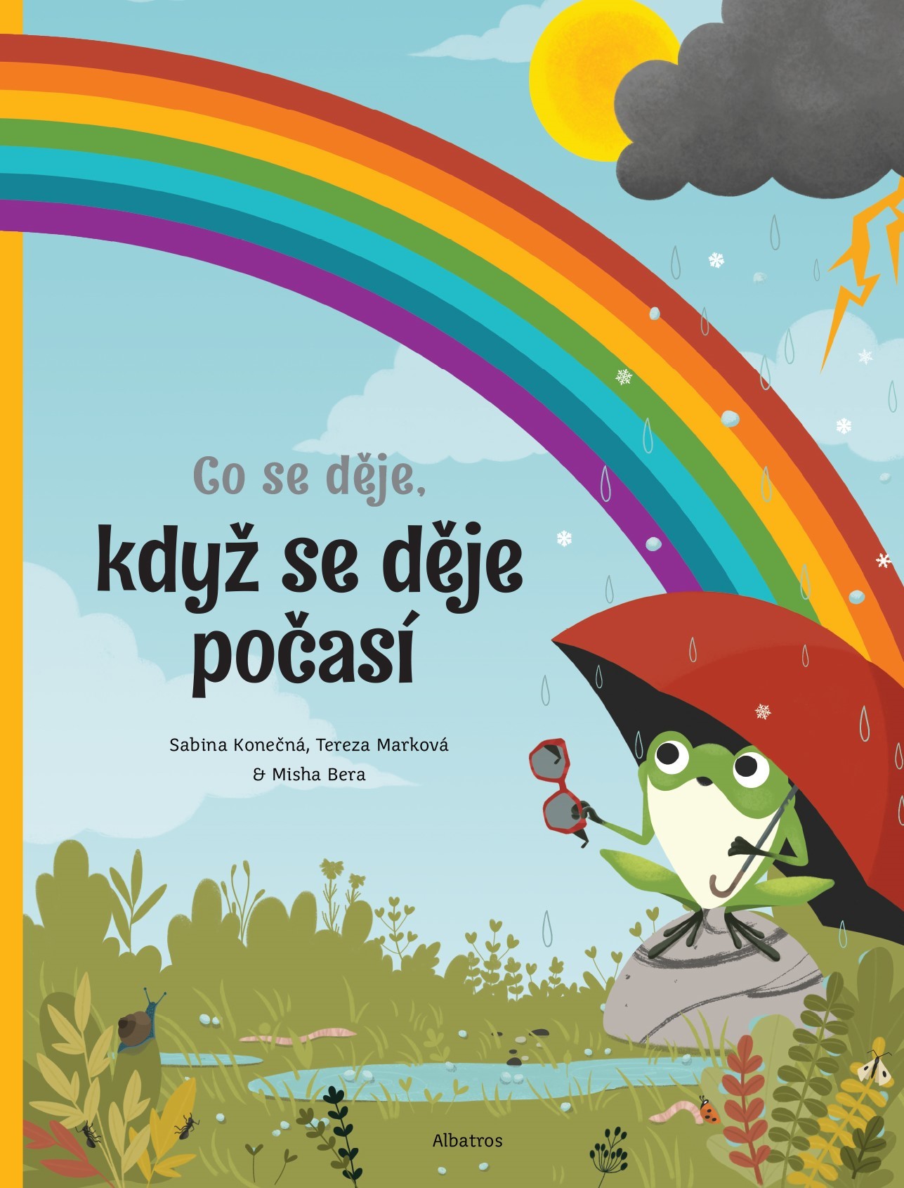 Kniha Co se děje, když se děje počasí