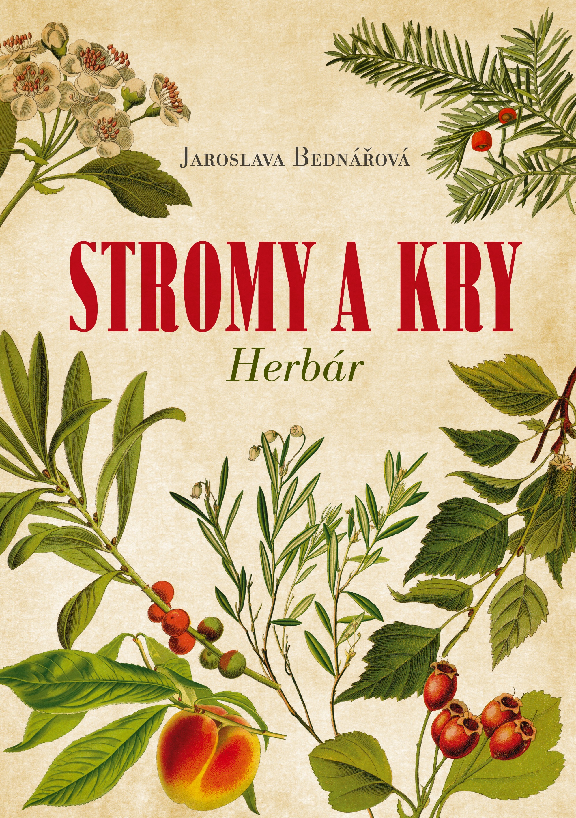 Stromy a kry Herbár kúpite na Gorila.sk
