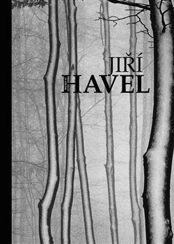 Kniha The Best of Jiří Havel