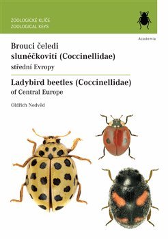 Brouci čeledi slunéčkovití (Coccinellida kúpite na Gorila.sk