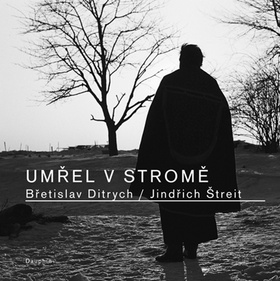 Kniha Umřel v stromě