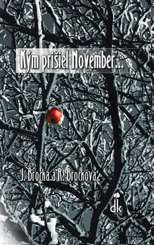 Kniha Kým prišiel November...