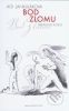 Kniha Bod zlomu (Breaking point)
