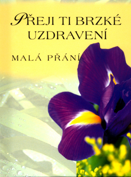 Kniha Přeji Ti brzké uzdravení (Malá přání)